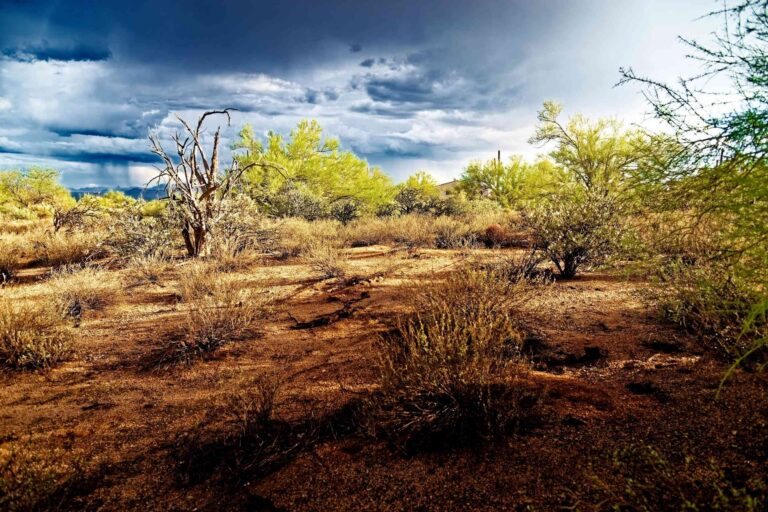 SEVEN SISTERS HOLISTIC HEALING INSTITUTE Noprofit