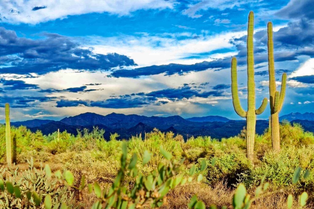 Seven Sisters Holistic Healing Institute Nonprofit