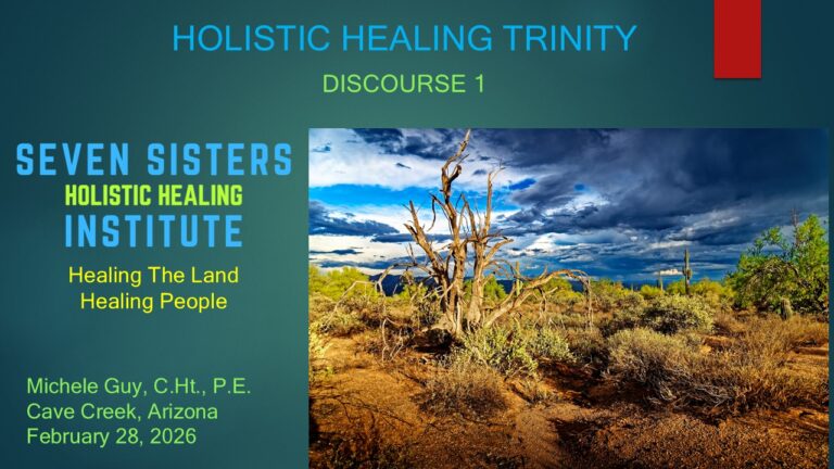 2026-02-28 Holistic Healing Trinity - Discourse 1